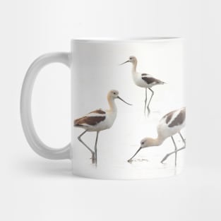 Stunning American Avocets Wading Birds at the Beach Mug